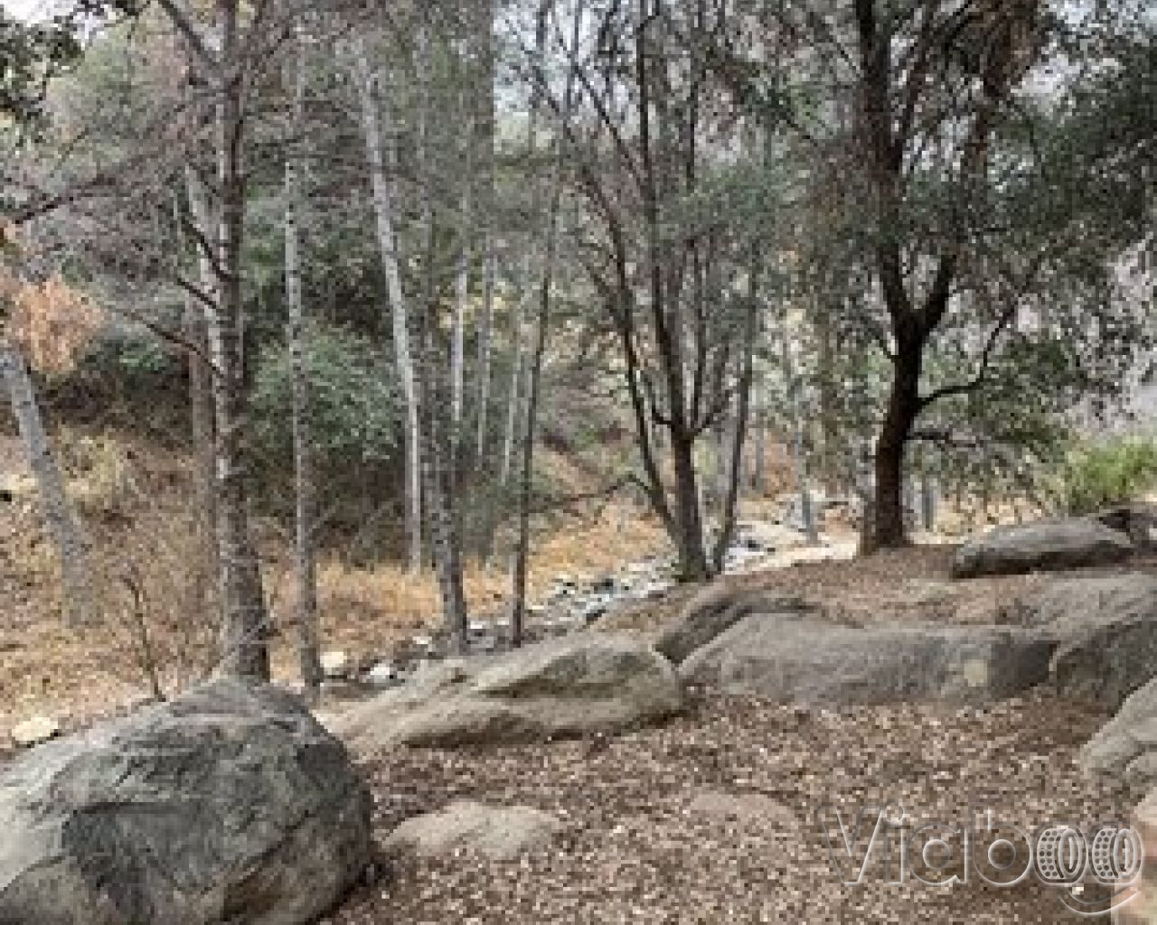 Reyes Creek Campground