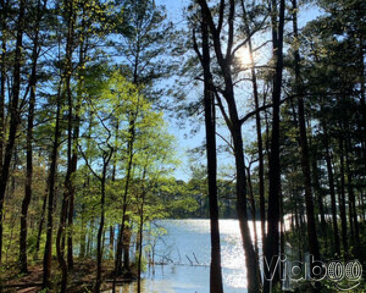 Petersburg Campground