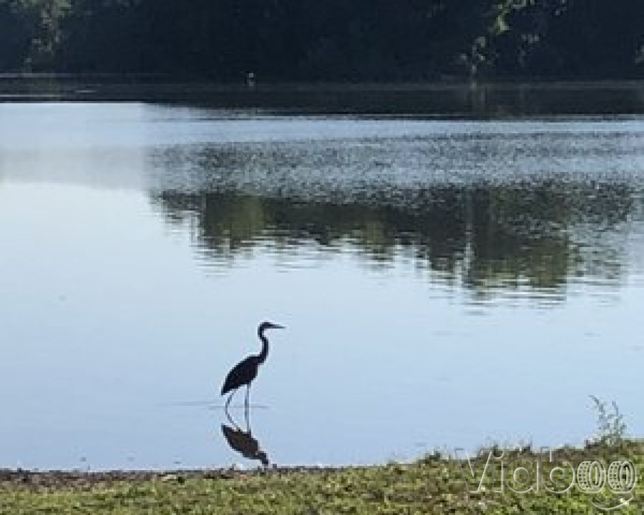 North Branch Kokosing River Campground