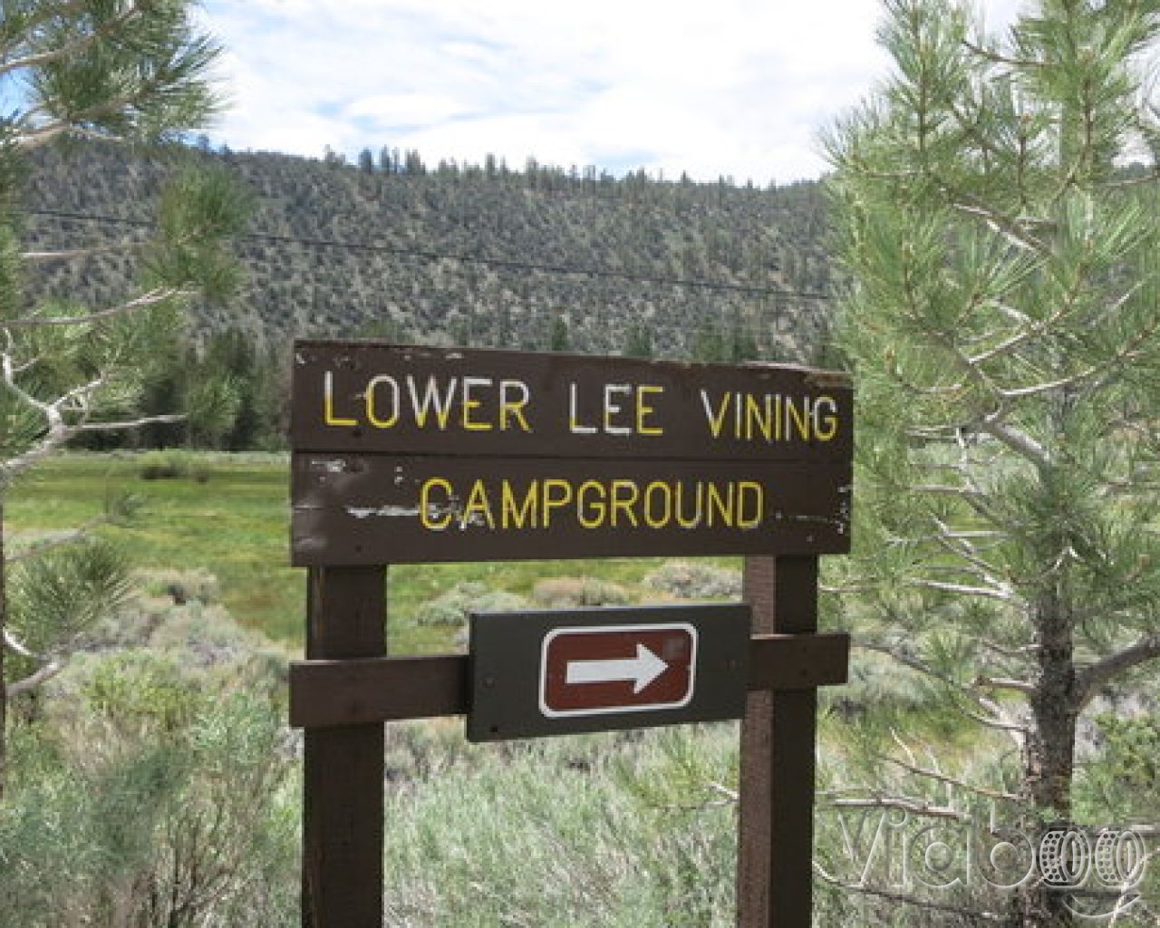 Lower Lee Vining Campground