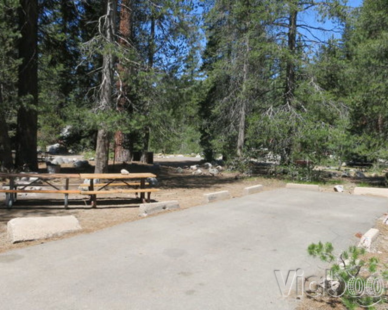Lodgepole Campground