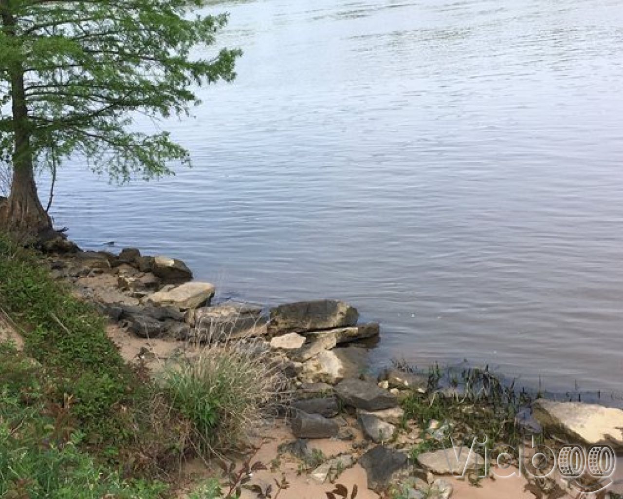 Tar Camp Park Campground