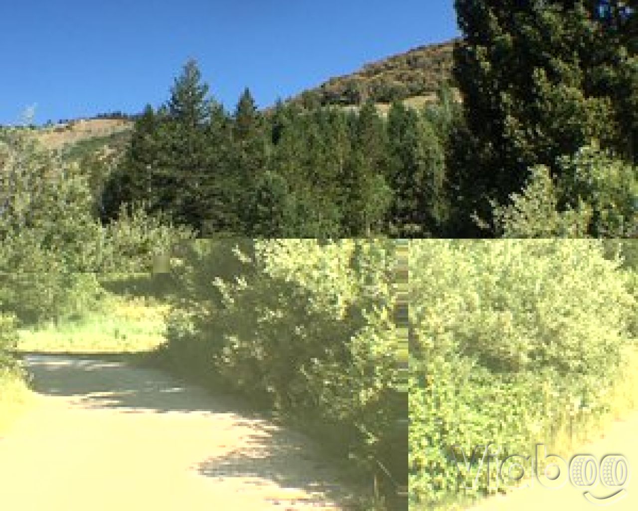 Paris Springs Campground