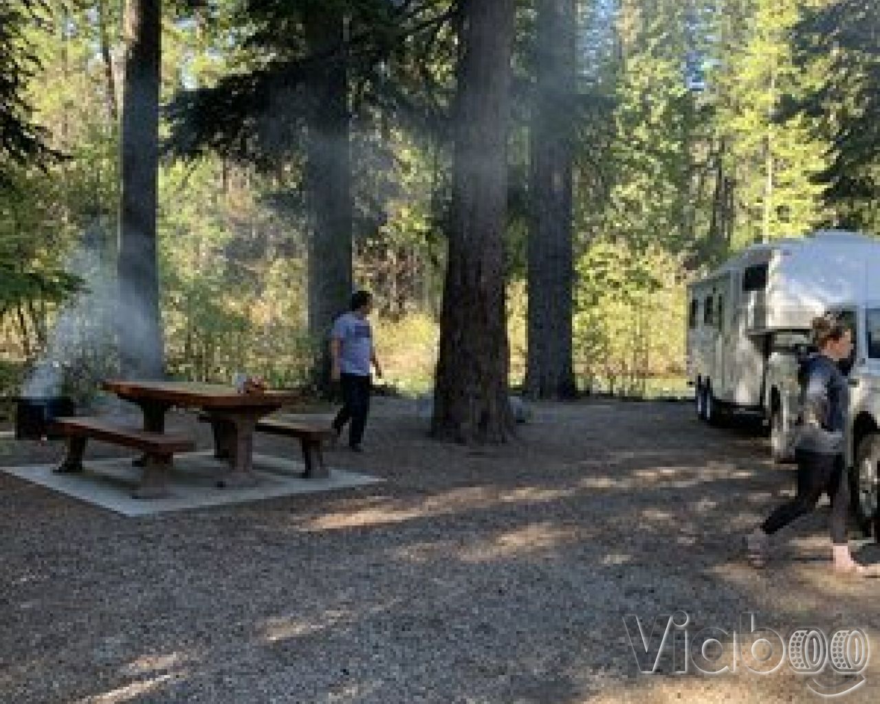 Mule Deer Manning Provincial Park