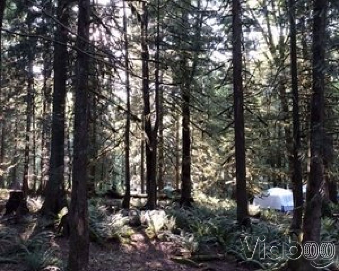 Entrance Bay Cultus Lake Provincial Park