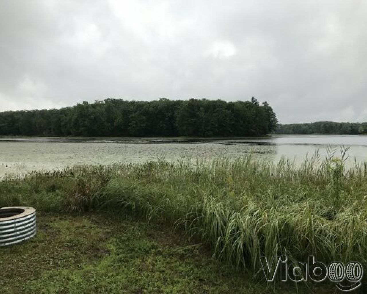 Long Lake (Missaukee) State Forest Campground