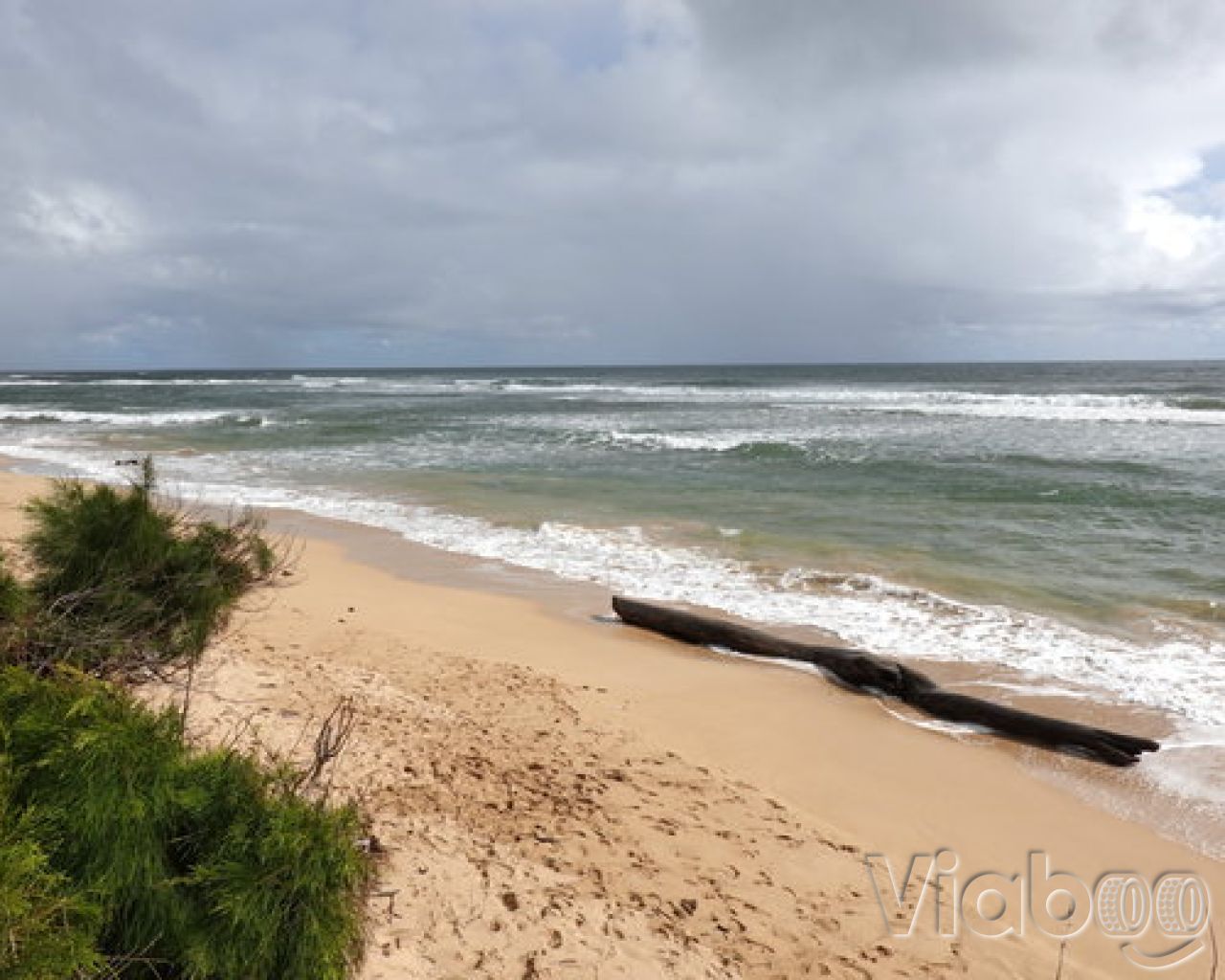 Lydgate Park Campground