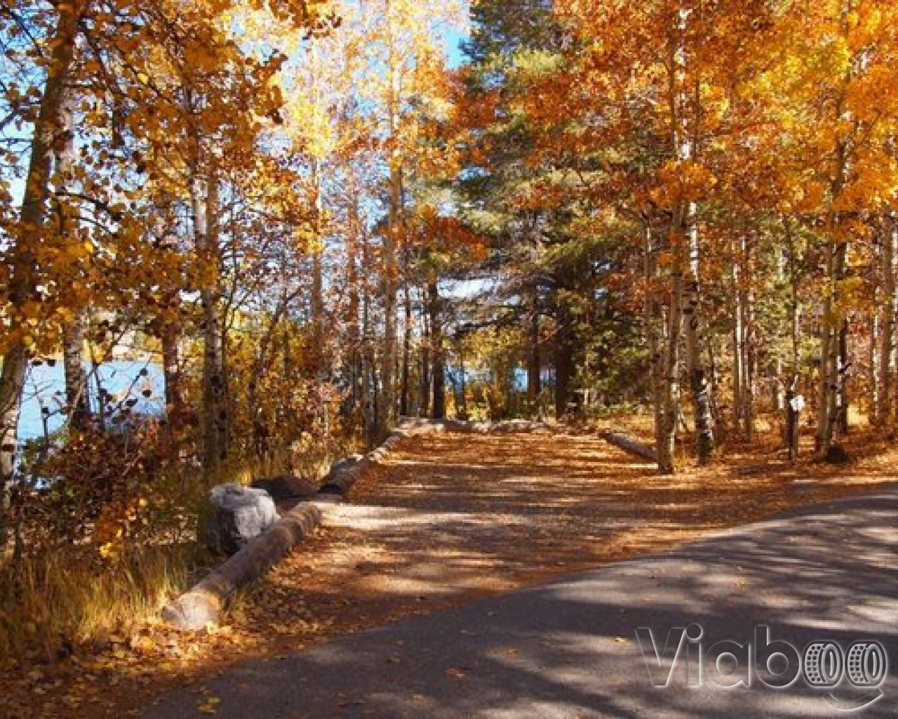 Gull Lake Campground