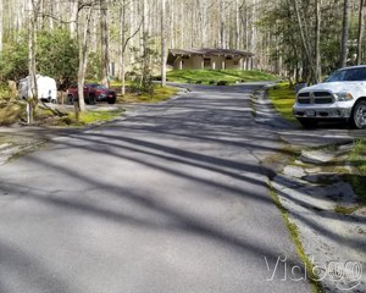 Roan Mountain State Park