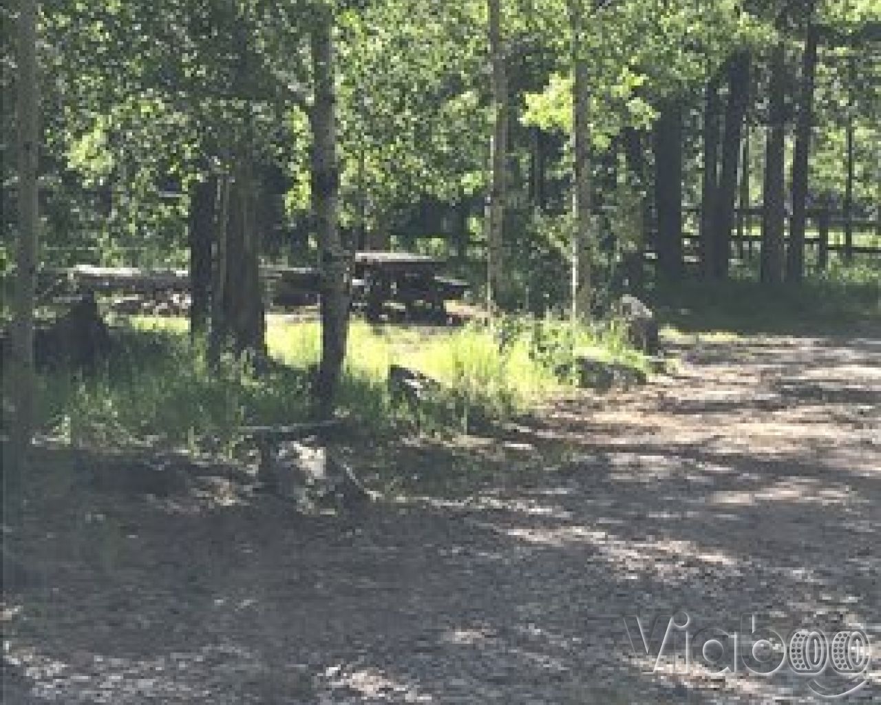 Willow Creek Campground