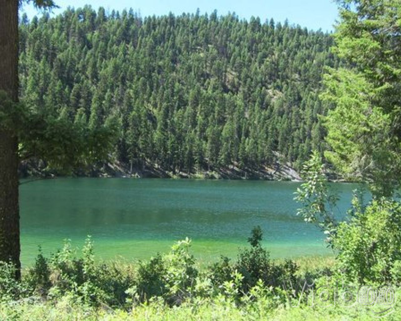 Beaver Lake Campground
