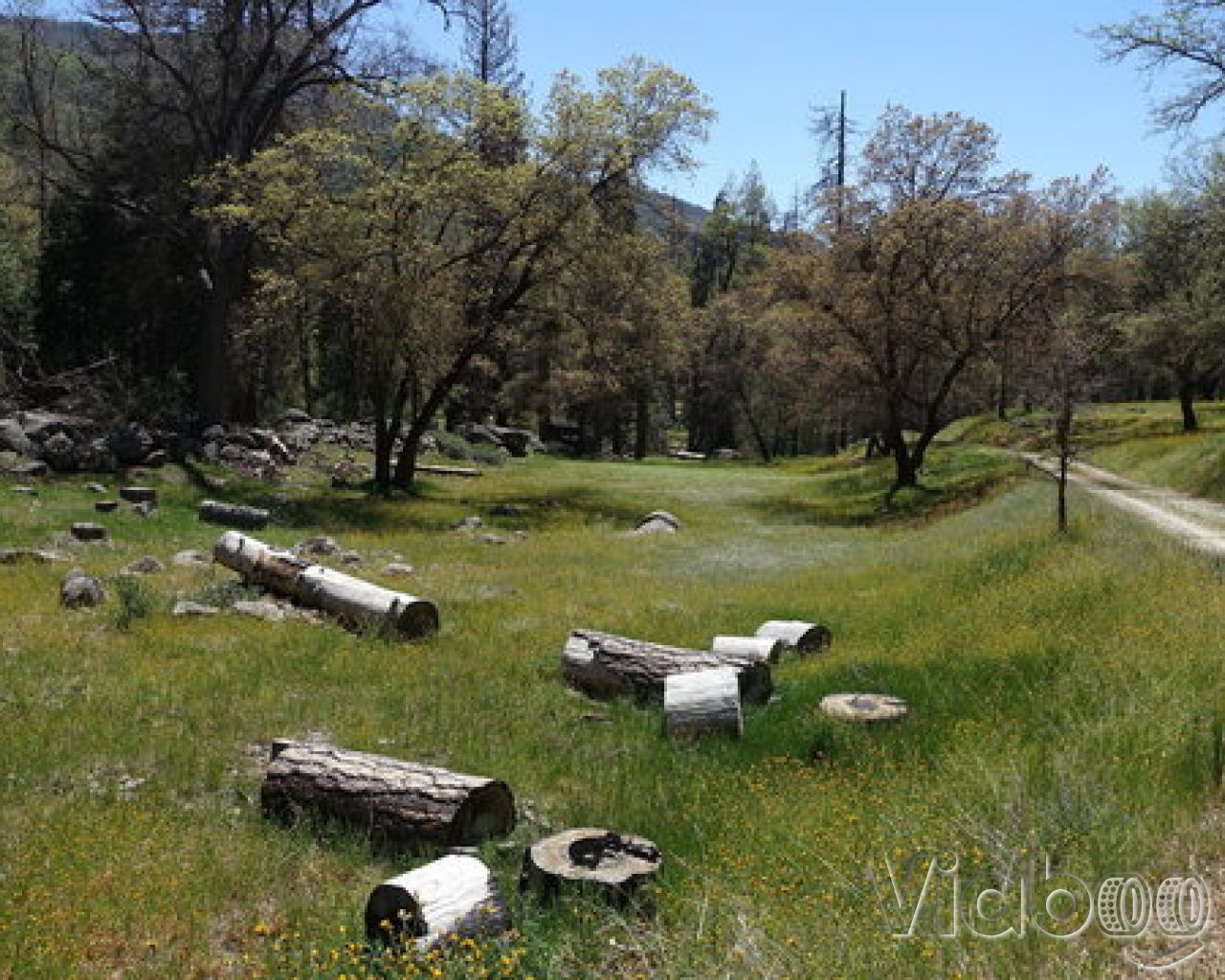 Alder Creek Campground