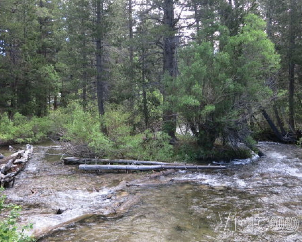 Green Creek Campground