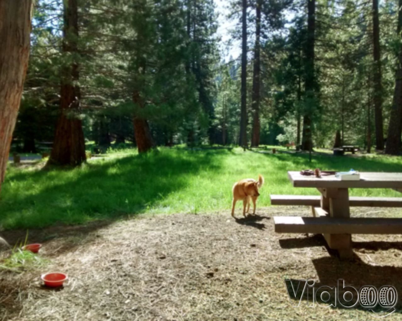 Fraser Flat Campground