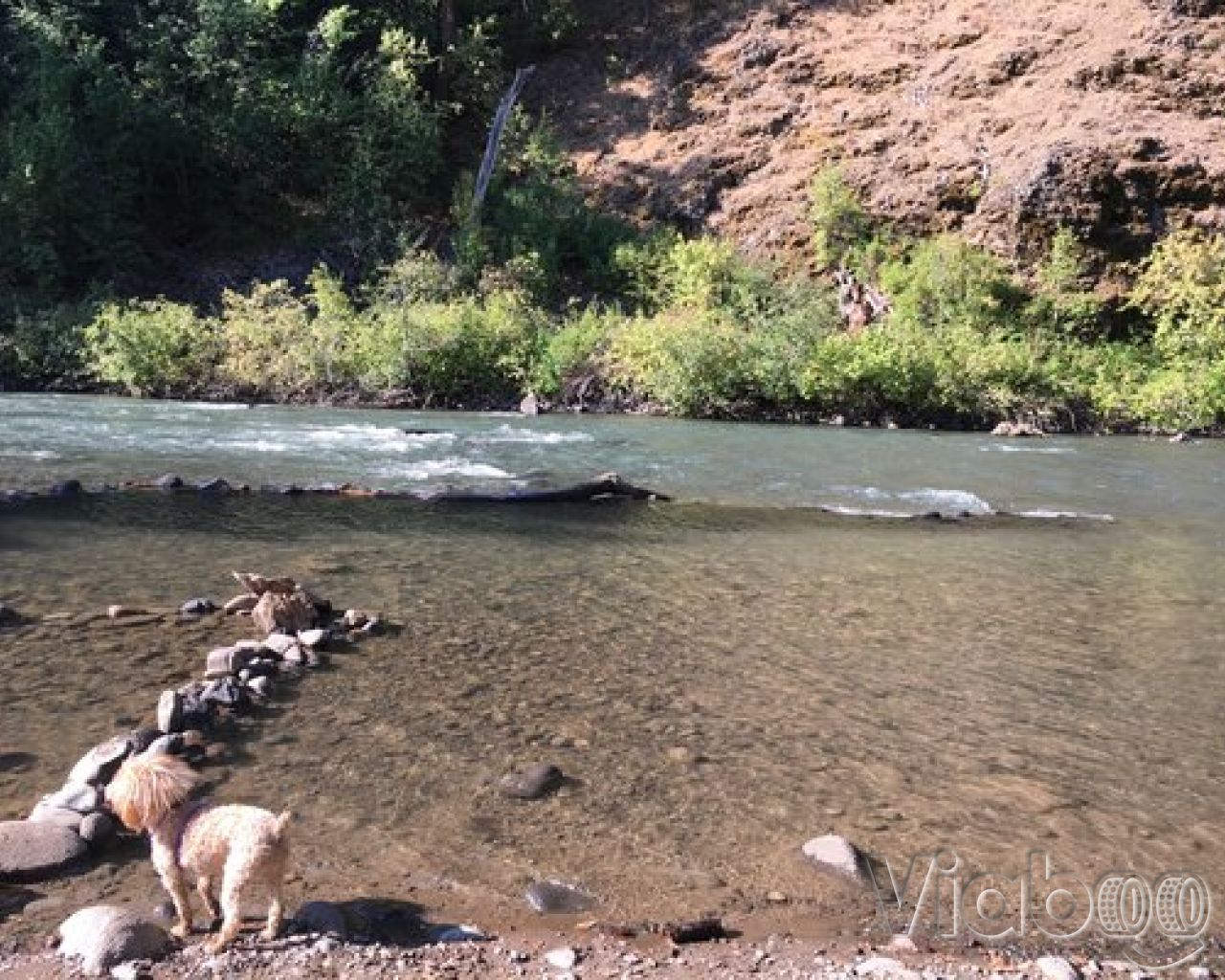 Windy Point Campground