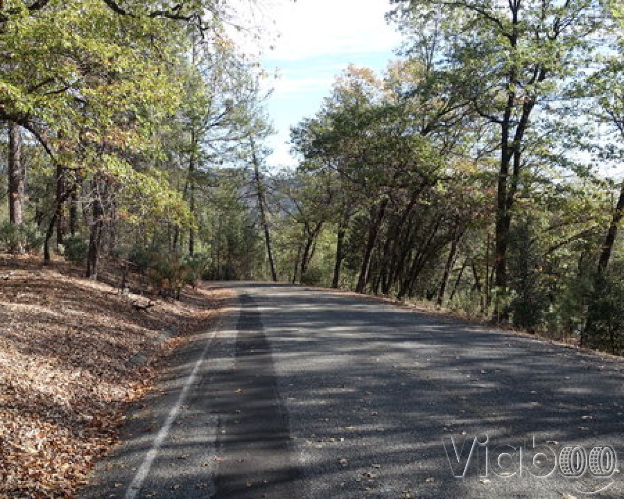 Brandy Creek RV Campground