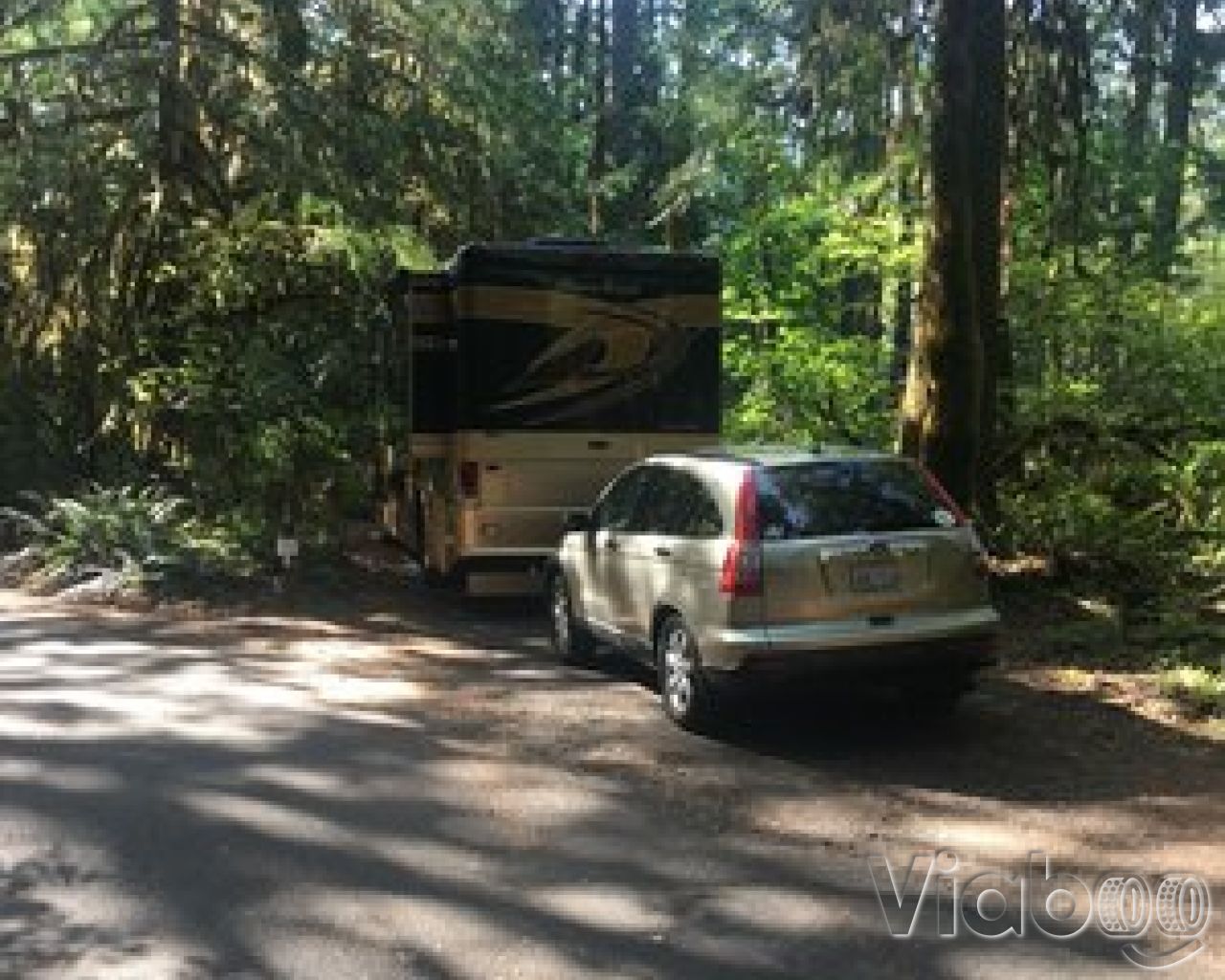 McKenzie Bridge Campground