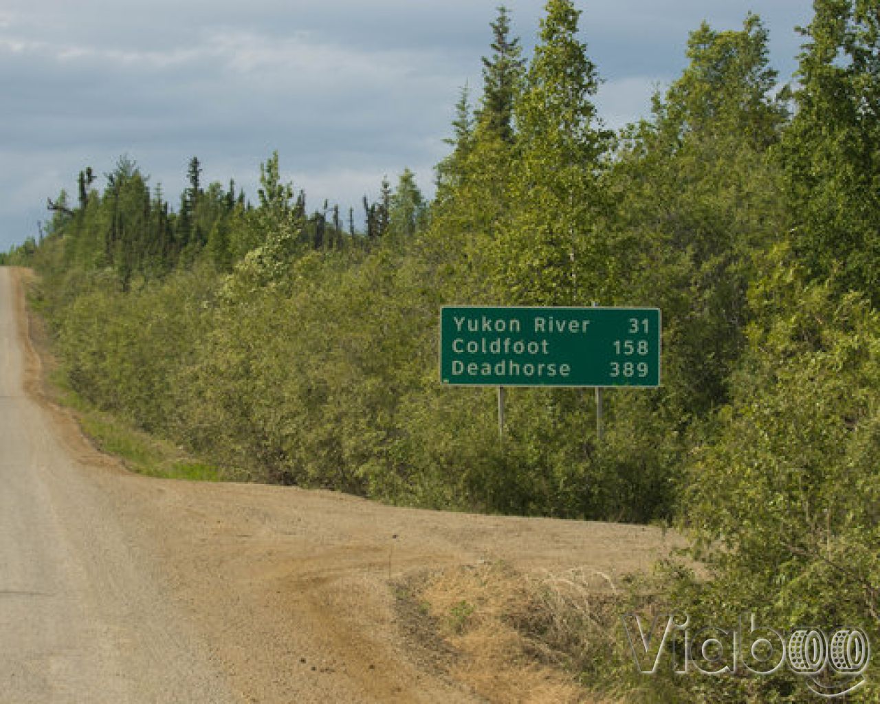 Galbraith Lake Campground