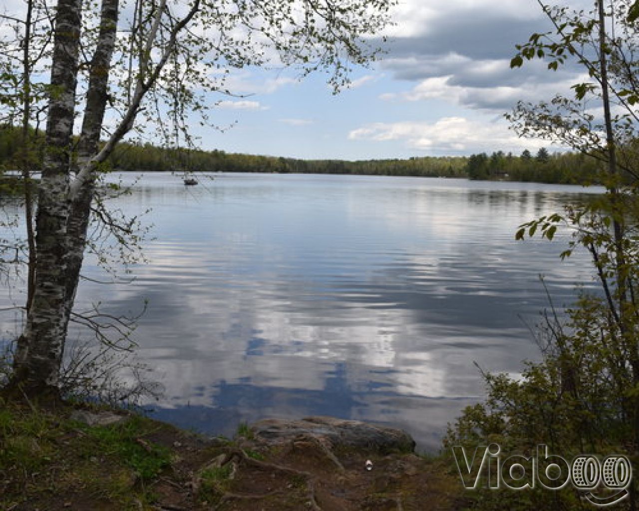 Carney Lake State Forest Campground