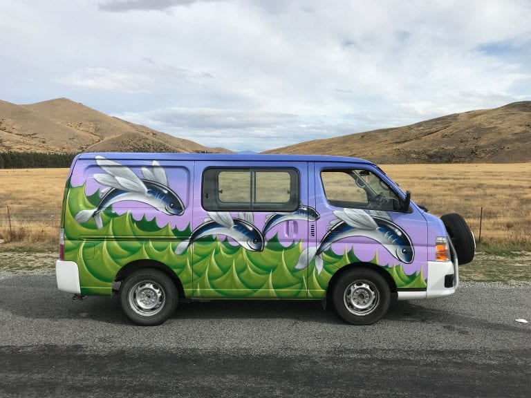 How to Travel New Zealand By Camper Van ViaExperience