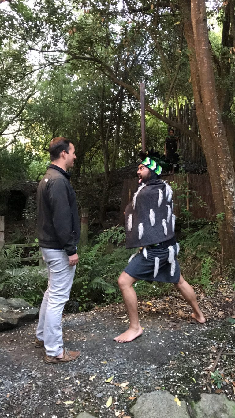 How to Travel New Zealand By Camper Van ViaExperience