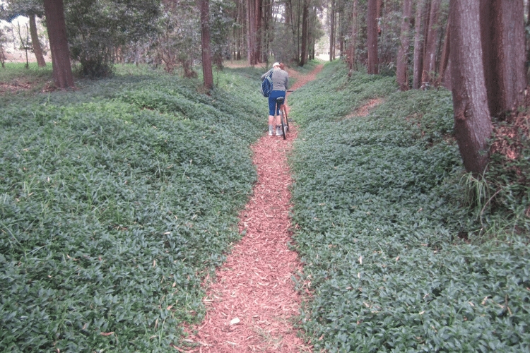 Info Parque La Florida Bogotá Colombia