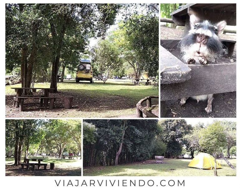 Parque Nacional el Palmar, Entre Ríos guía y consejos para visitarlo