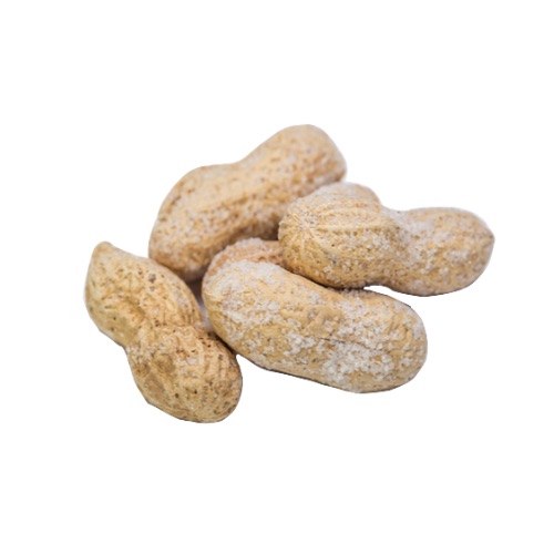Peanuts In Shell Salted Vianuts