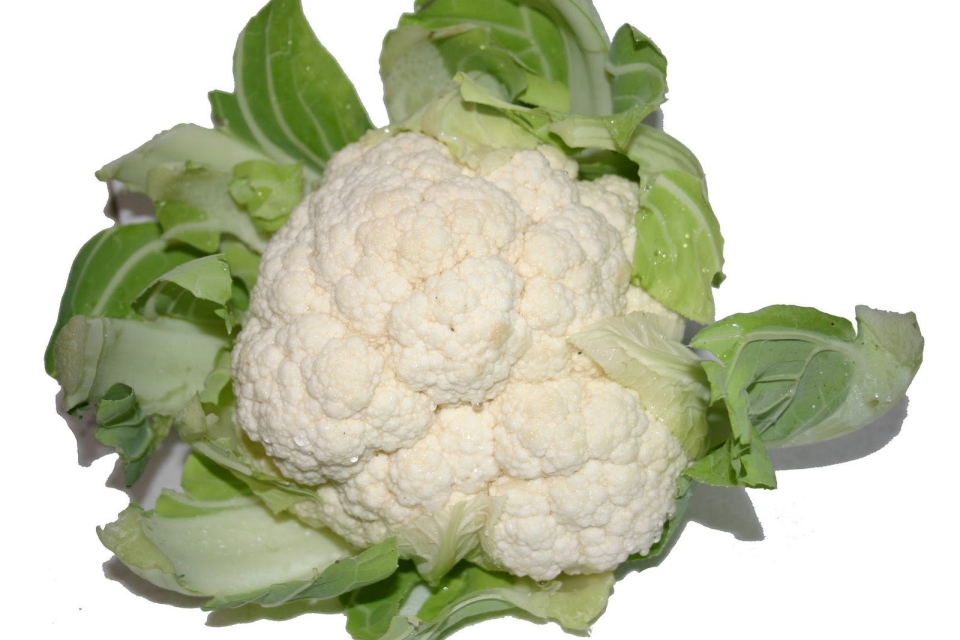 Beneficios de la Coliflor Vía Orgánica