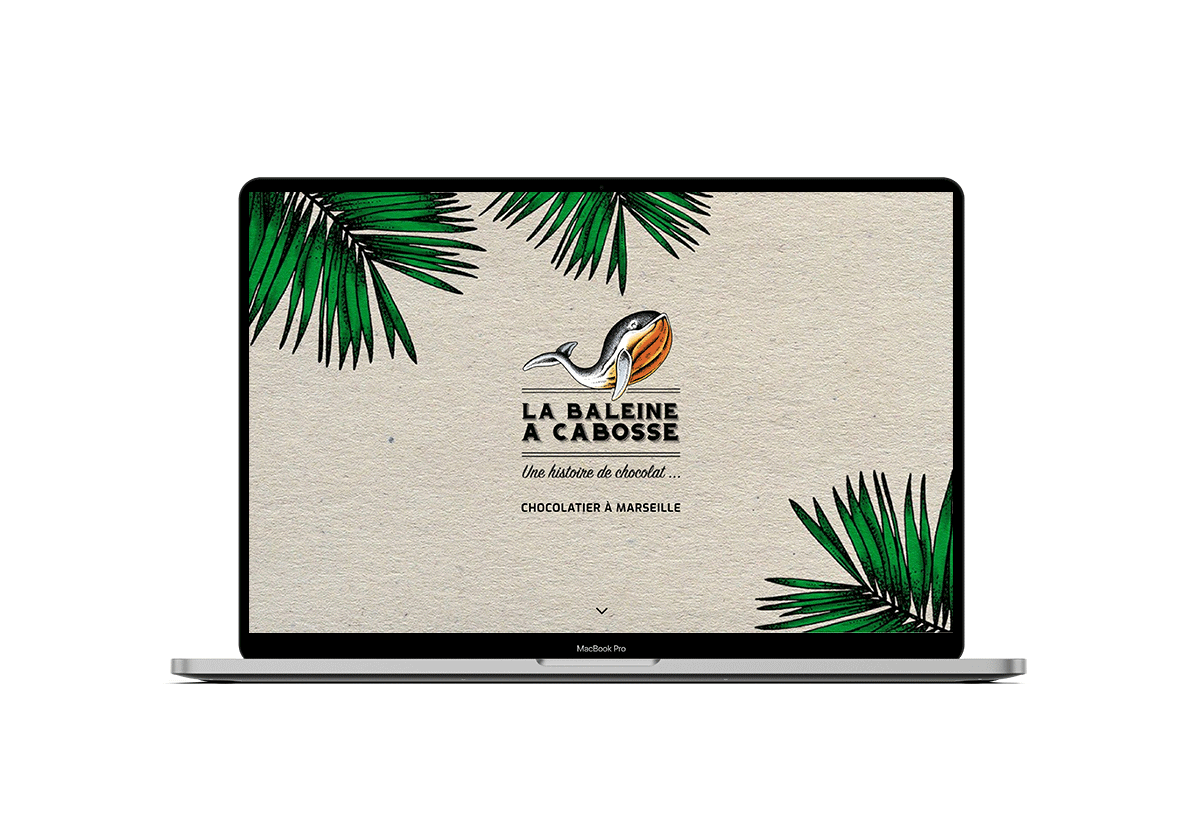 Agence  Marseille, Création site pour La Baleine à Cabosse