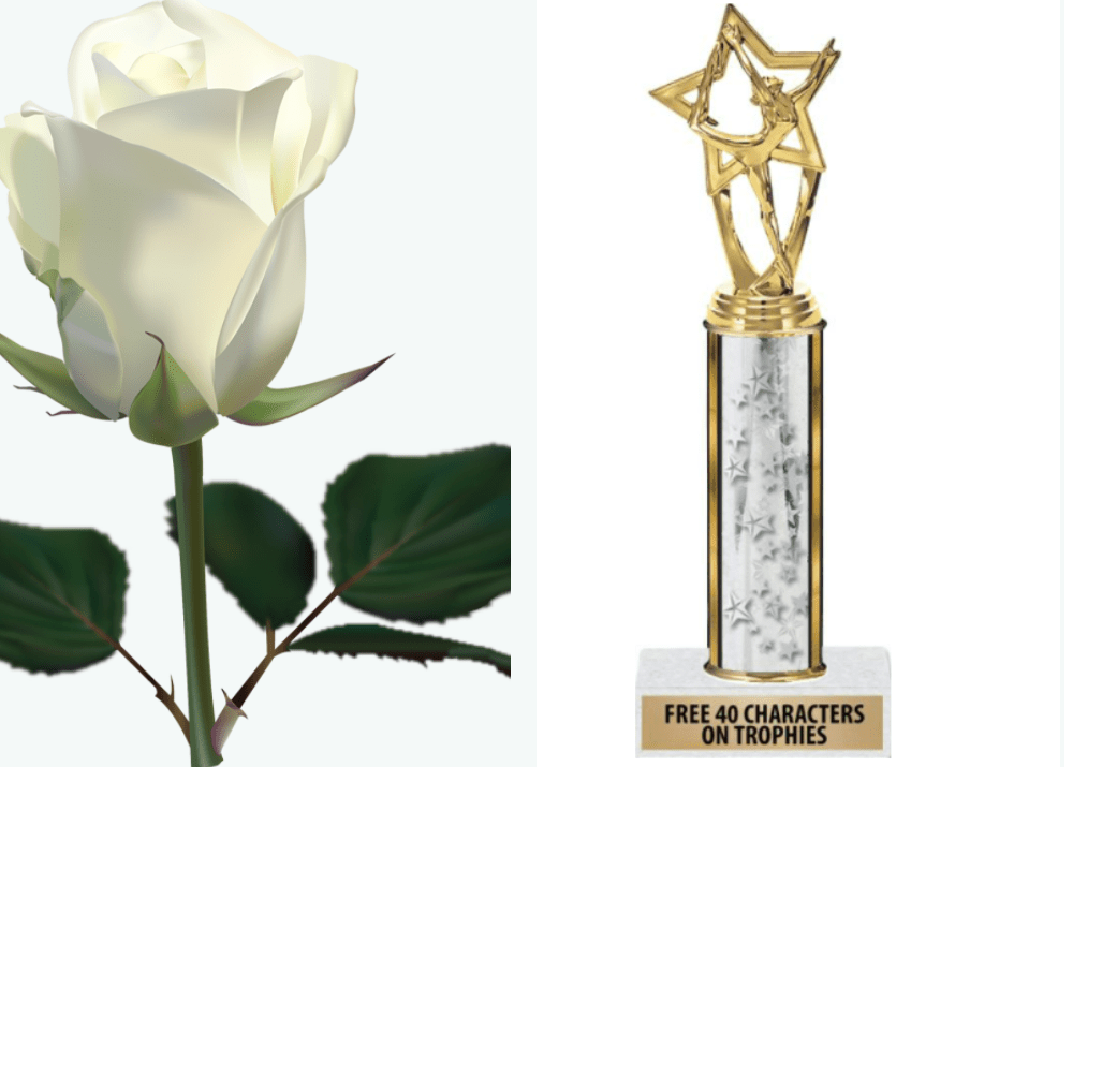 Recital Trophies & Flower Bouquets For Sale & Reminder about FN Picture