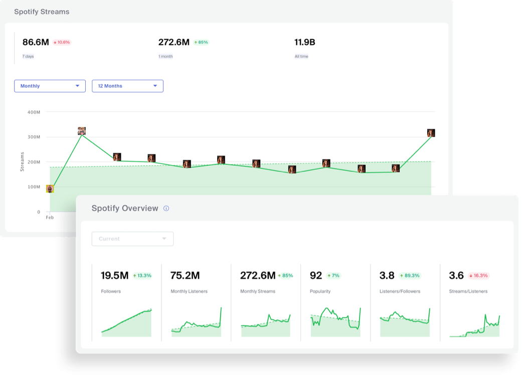 Spotify Analytics for Industry Professionals by Viberate