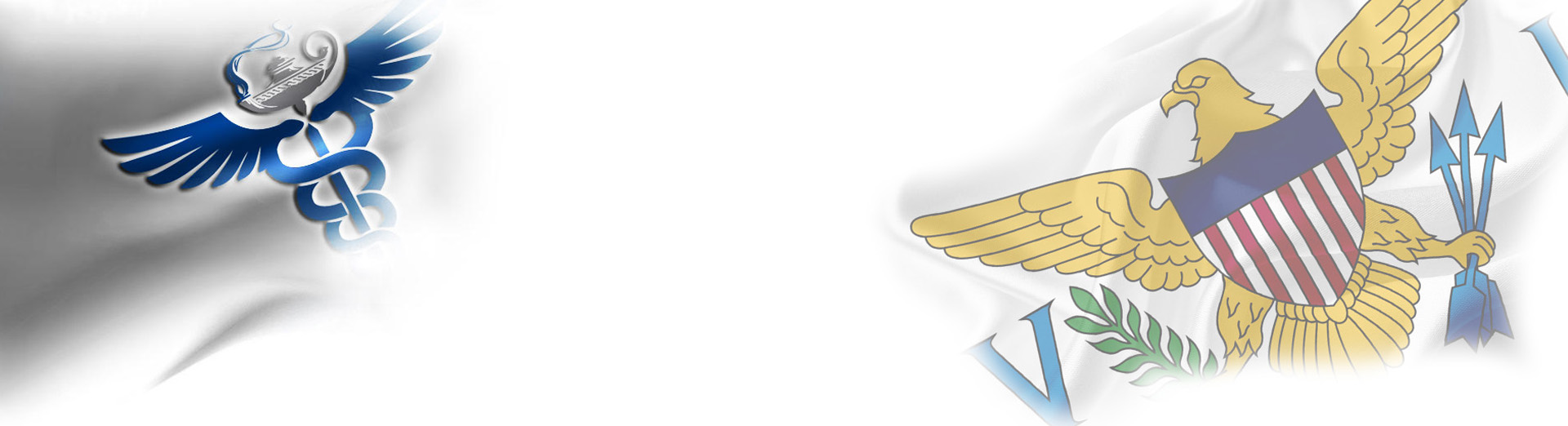 Virgin Islands Board of Nurse Licensure VIBNL