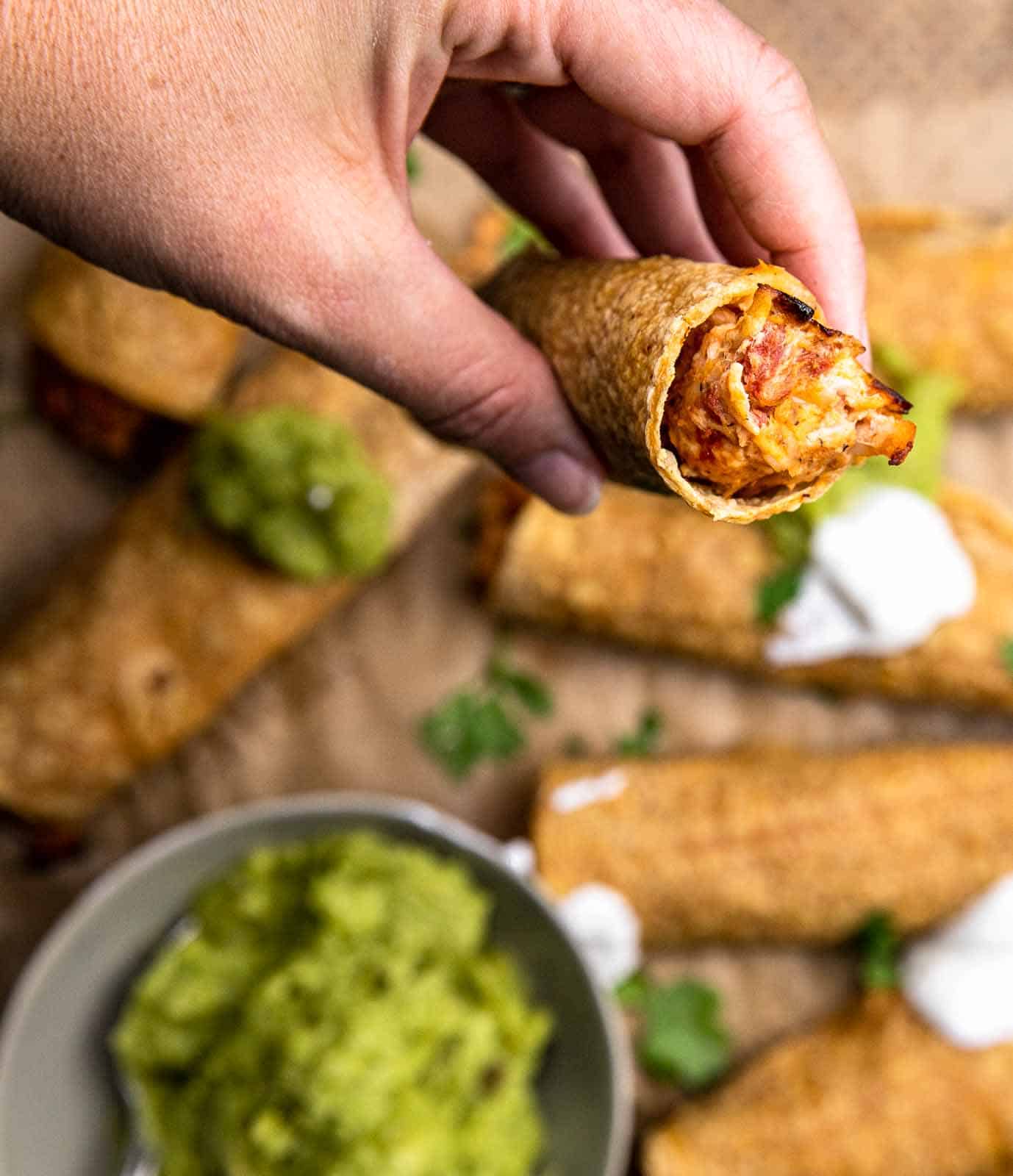 Baked Cream Cheese Chicken Taquitos Gina Gibson