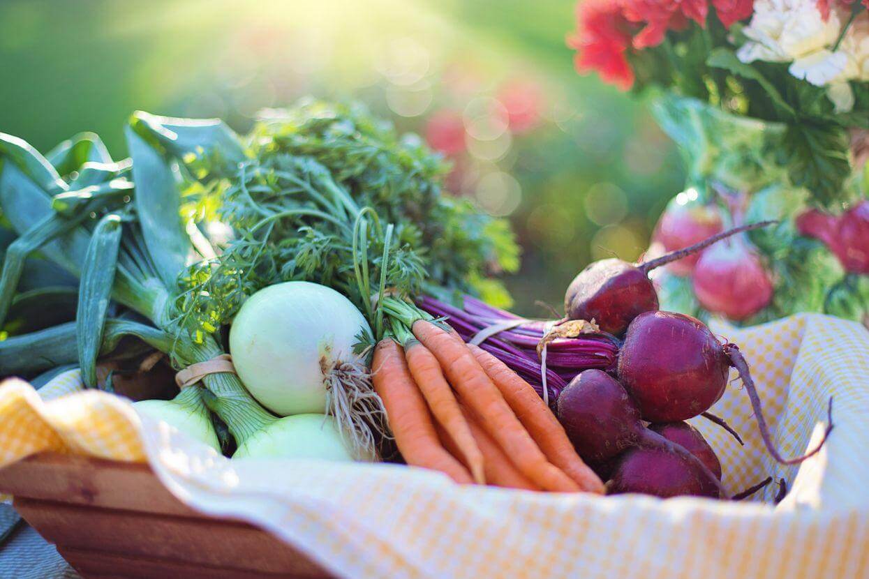 16 Best Vegetables to Juice (+TOP10 Video) Vibrant Happy Healthy