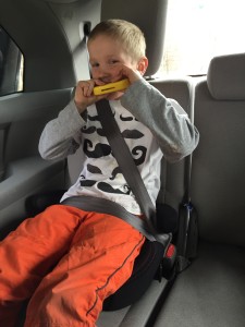 harmony big boost deluxe