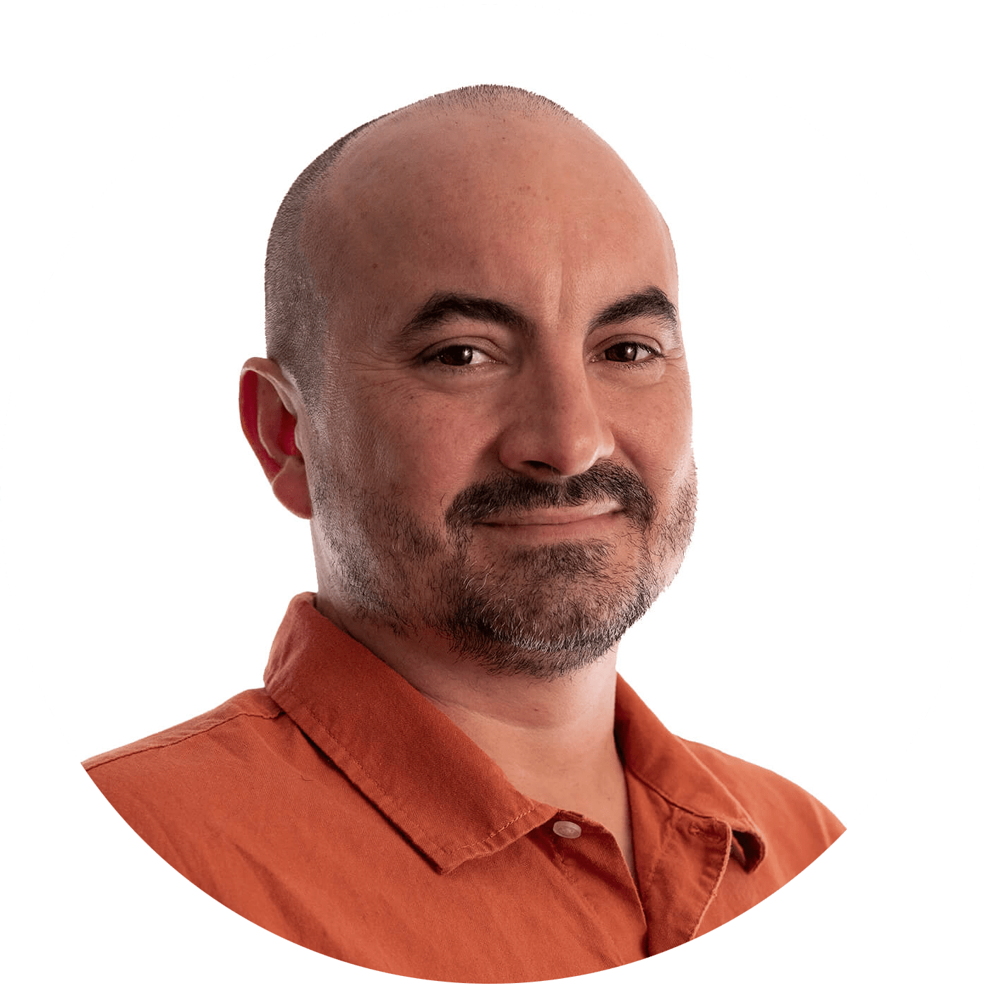 CostEffective  Development Services Vice Software