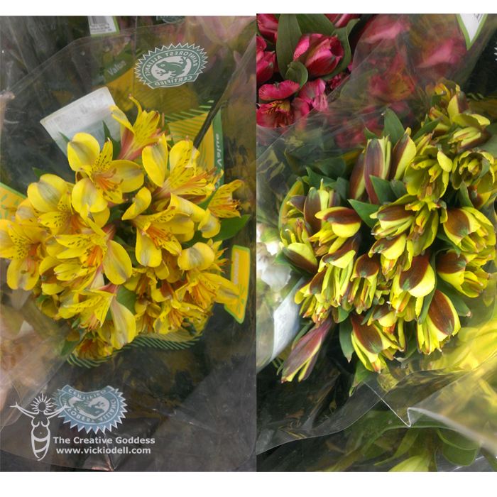 Banish the Winter Blues with the Longest Lasting Cut Flowers • Vicki O'Dell