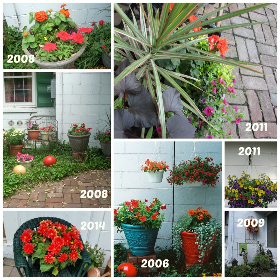 8 Tips for Creating Long Lasting Container Plants • Vicki O'Dell