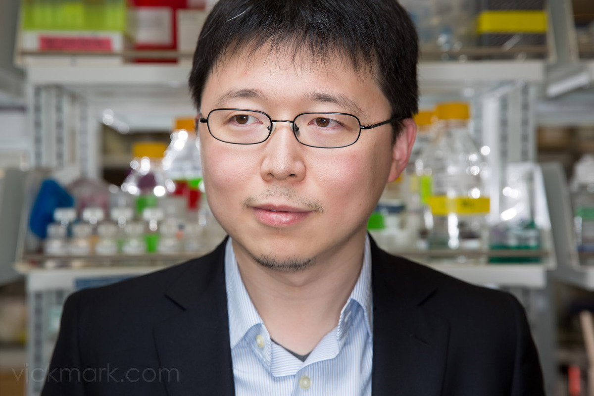Feng Zhang, Assistant Professor of Biomedical Engineering for MIT » The