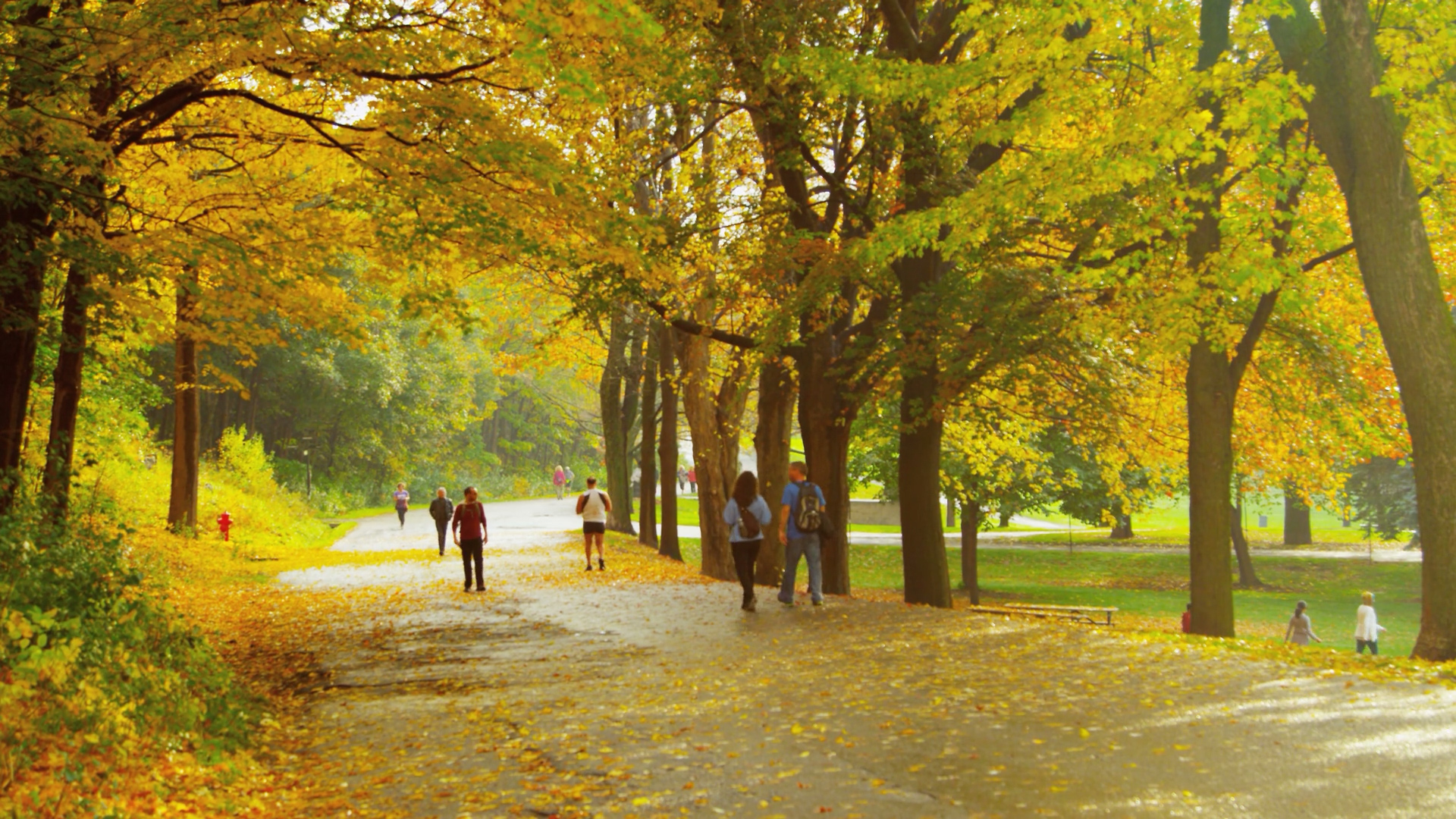 Parks The Village of Vicksburg, Michigan