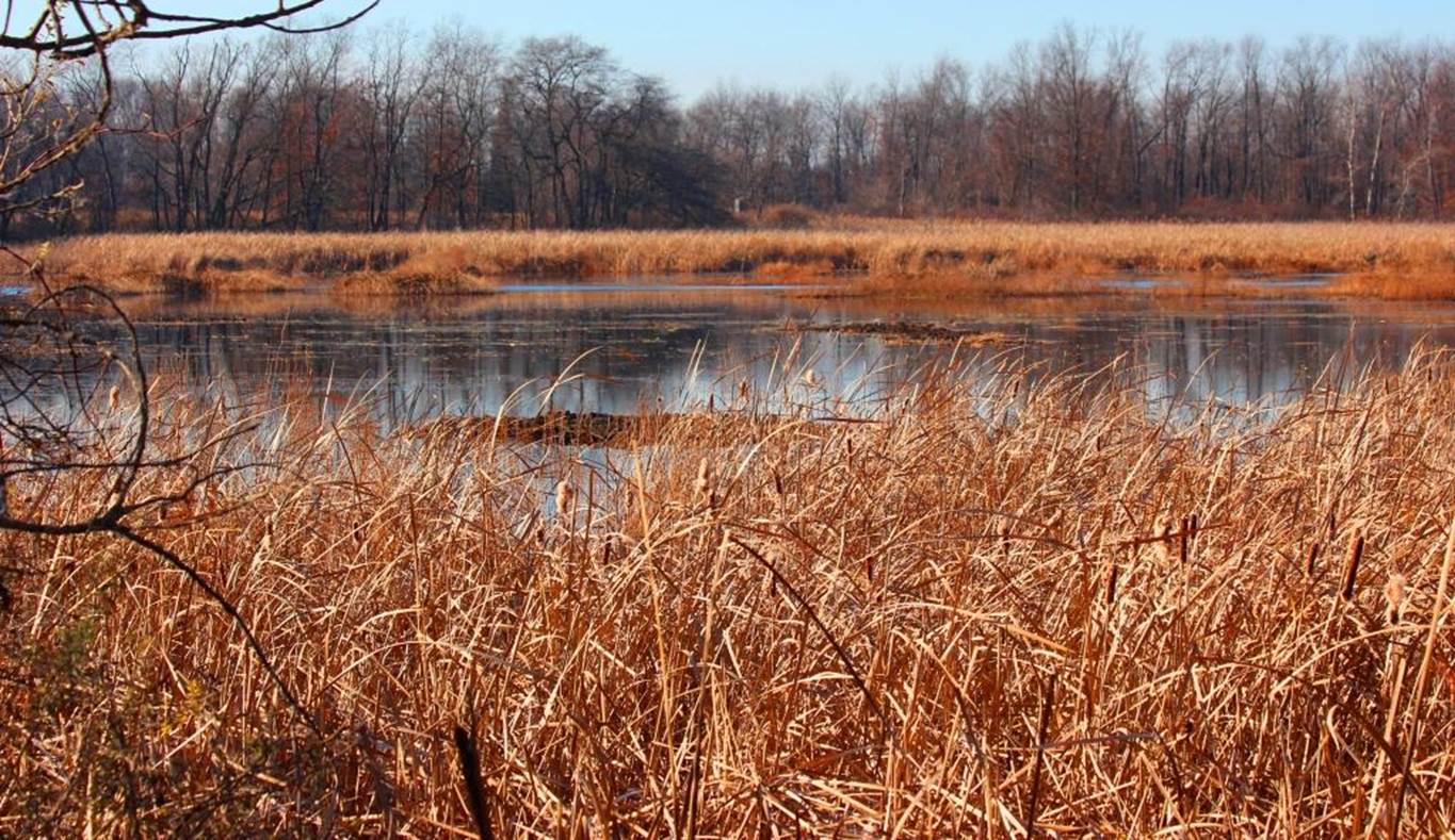 image002 The Village of Vicksburg, Michigan