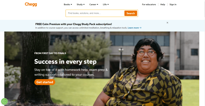 Chegg expects to reach 1 million international subscribers in 2021 Chegg expects to reach 1 million international subscribers in 2021