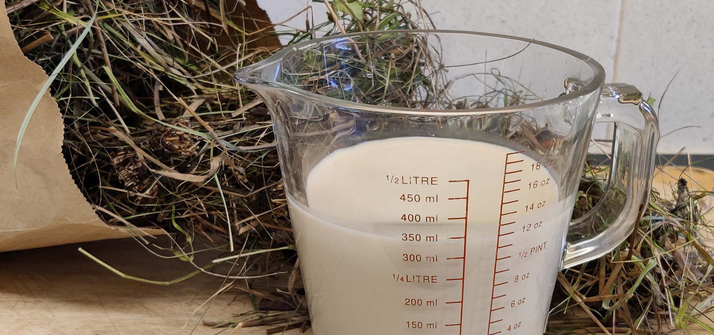 Edible Meadows flavours from the floodplain Vicky Bowskill