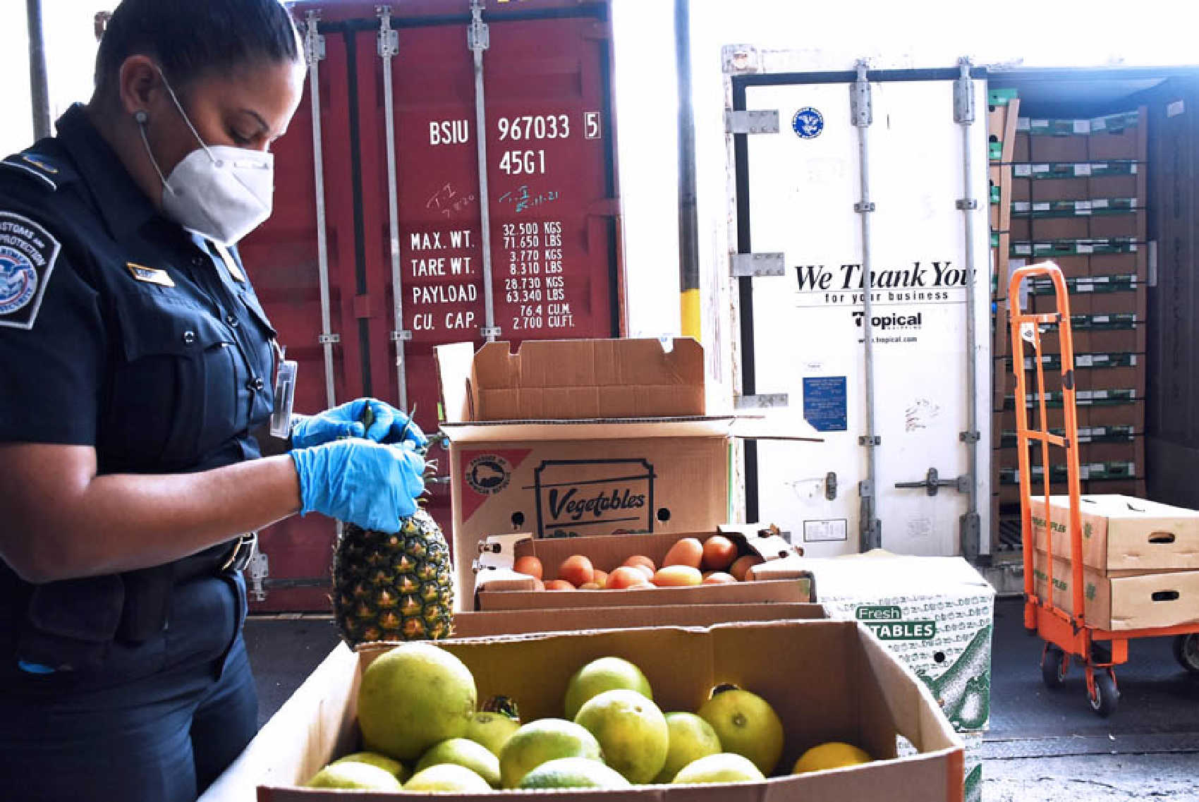 CBP Announces Applications for Centralized Examination Stations in U.S. Virgin Islands