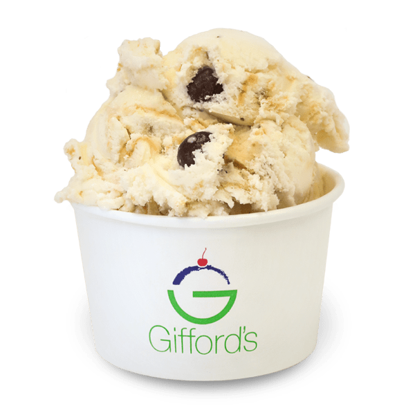 About Us VICS of Spencerport