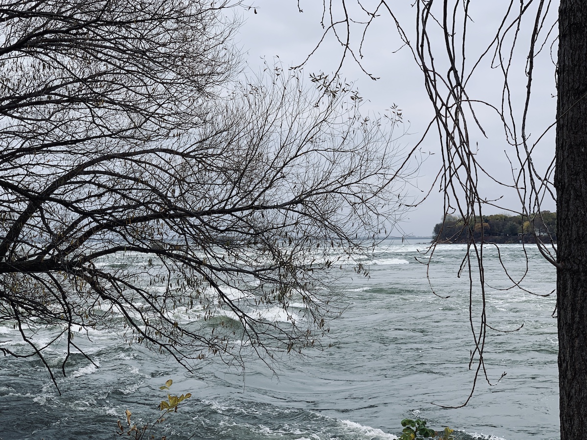 Lachine Rapids and Bird Sanctuary Seasons of Life