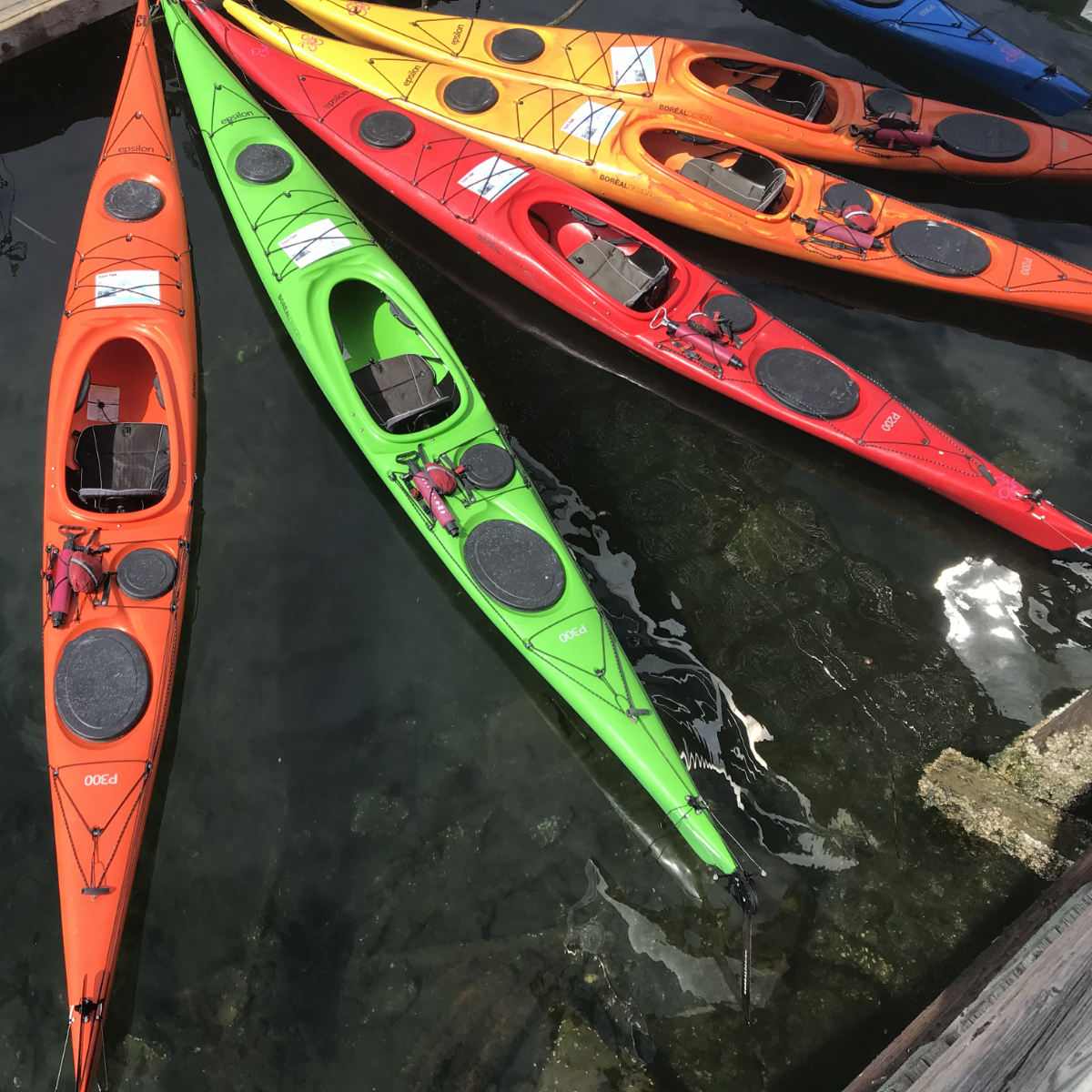 Fall Kayak Fleet Sale 2021 • Victoria Kayak Tours & Rentals