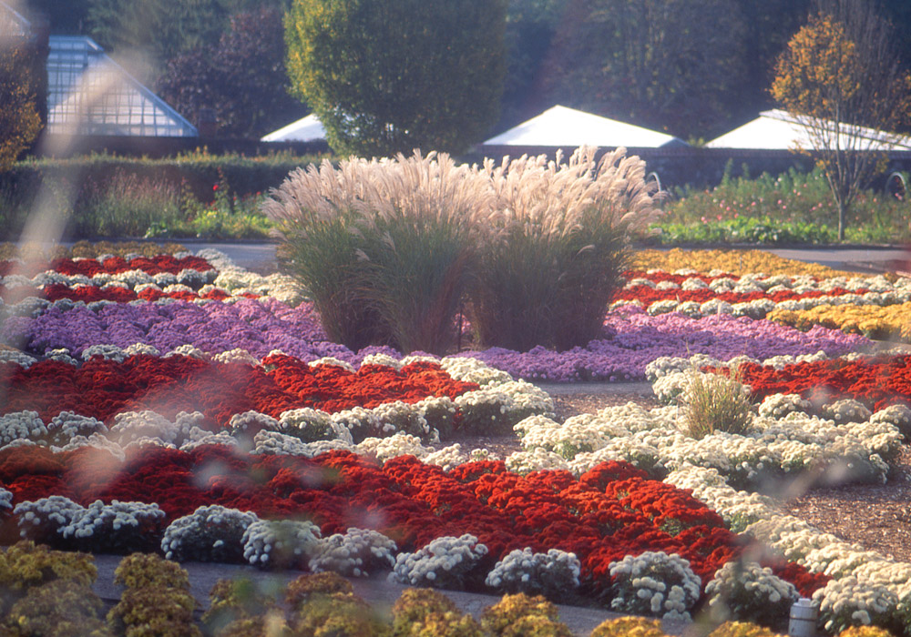 Victoria Classics Gardens of Bliss 2016