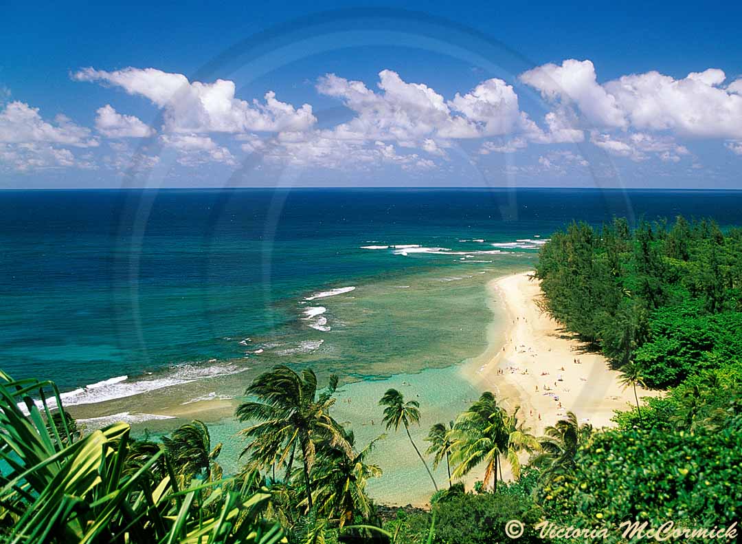 Ke’e Beach Lookout Victoria McCormick